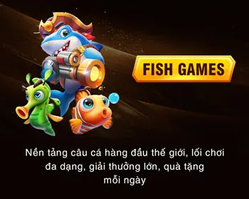 Bước 4: Đăng nhập và bắt đầu