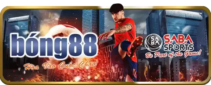 Cá cược bóng đá Raybet